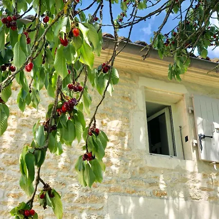 فندق مبيت وإفطار Du Cote De L'ombriere 4*