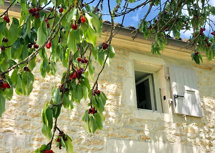 فندق مبيت وإفطار Du Cote De L'ombriere 4*